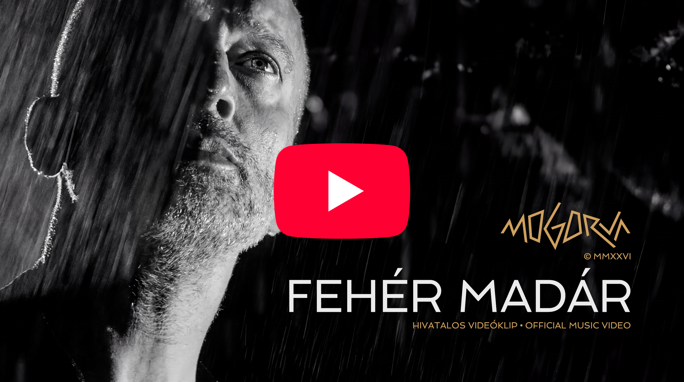 Fehér madár official music video – Mogorva